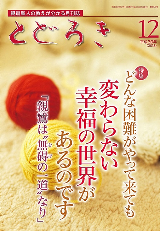 定年後の人生を模索｜定年退職後の充実した過ごし方 心がおだやかになる読み物